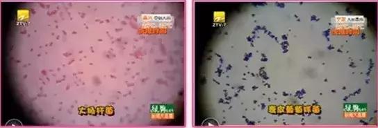 粉扑怎么消除细菌,清洗粉扑细菌