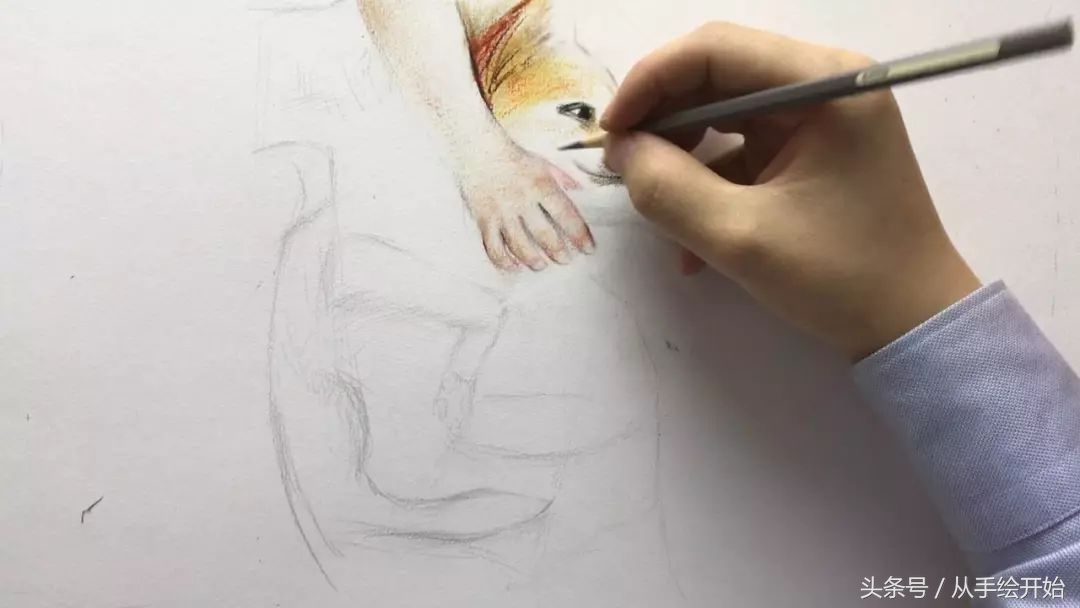 油画棒手绘|视频教程