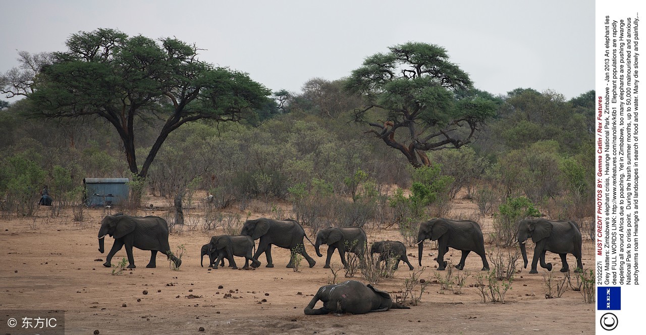 乌干达的奇葩习俗,乌干达女性结婚习俗