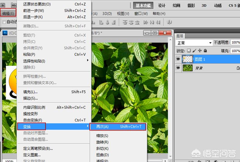 在ps中如何复制选区内容进新图层,ps怎么把图层复制到另一张图里