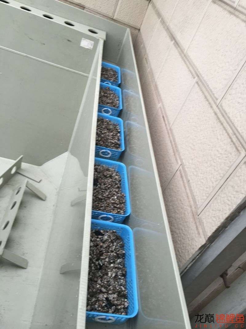 pp塑料锦鲤池,pp板材焊锦鲤池