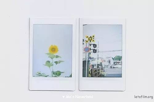 如何用拍立得相机拍出好看的照片,拍立得怎么拍出好看的照片