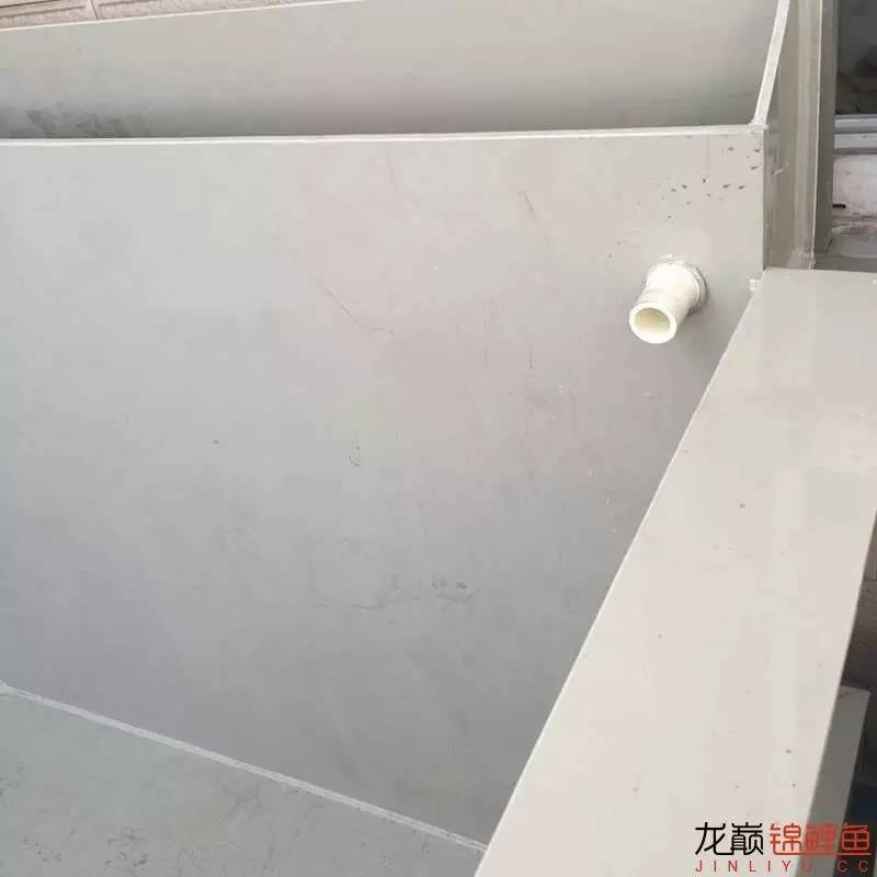 pp塑料锦鲤池,pp板材焊锦鲤池