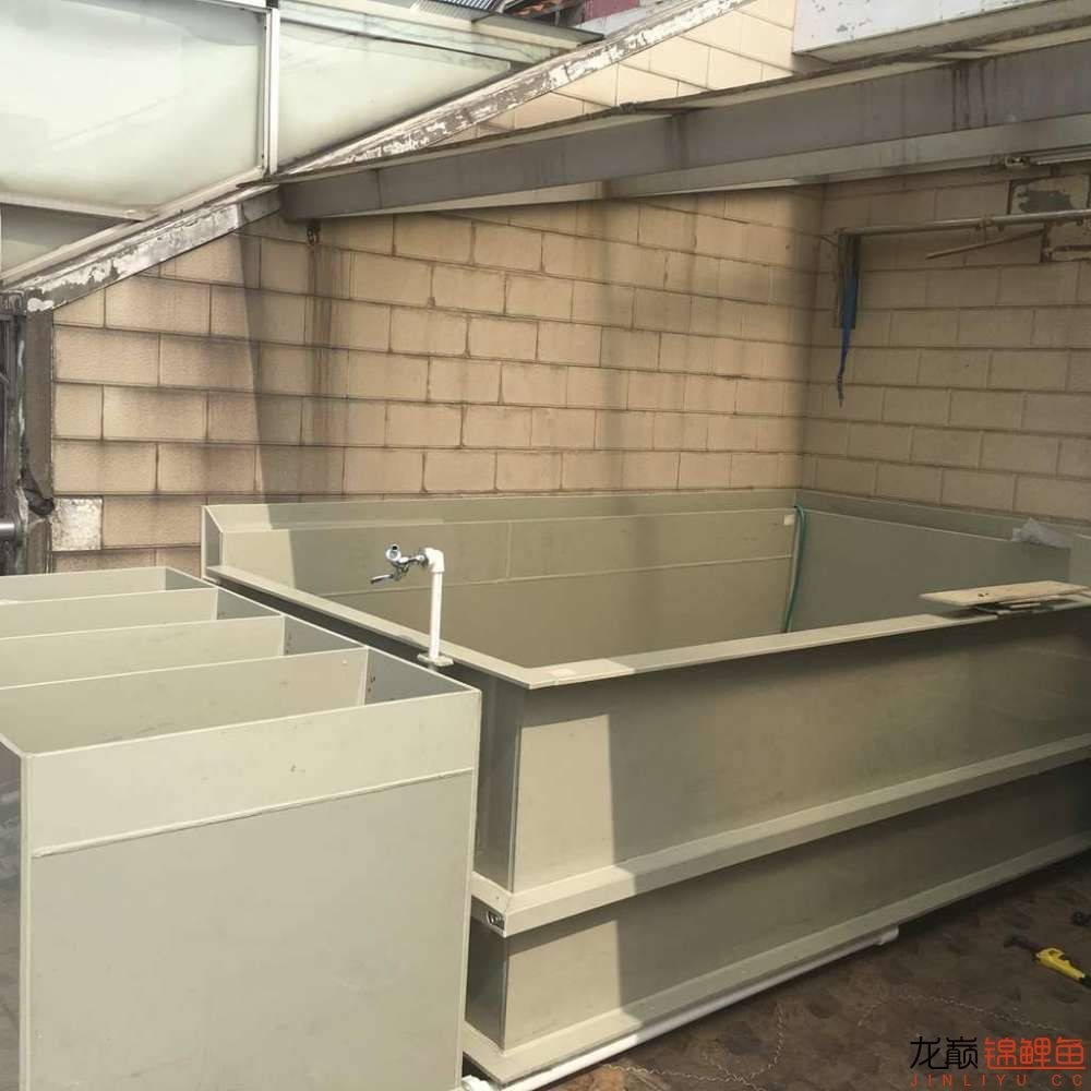 pp塑料锦鲤池,pp板材焊锦鲤池