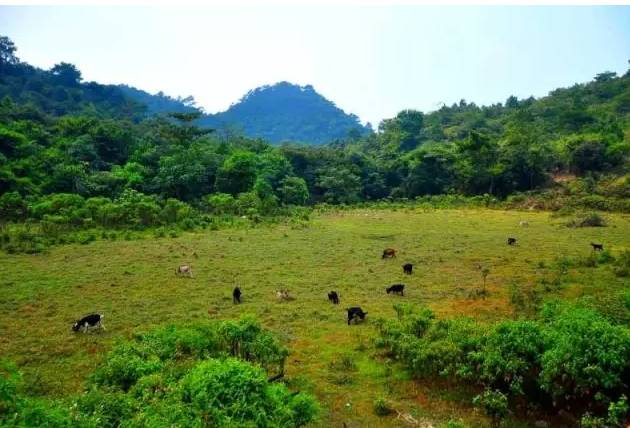 英德山区避暑,英德夏天好去处
