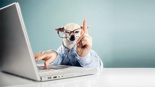 连锁酒店加盟可行性,酒店连锁加盟现在最流行