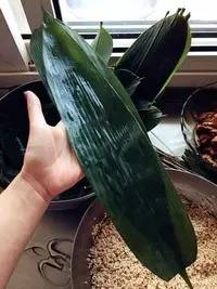 这个端午节要这样玩，千万别错过了！