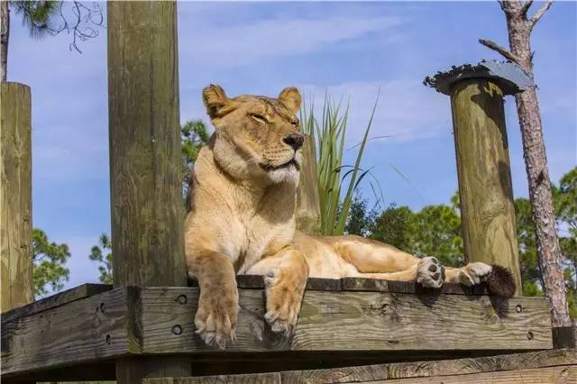 棕榈滩美景,棕榈滩沙滩