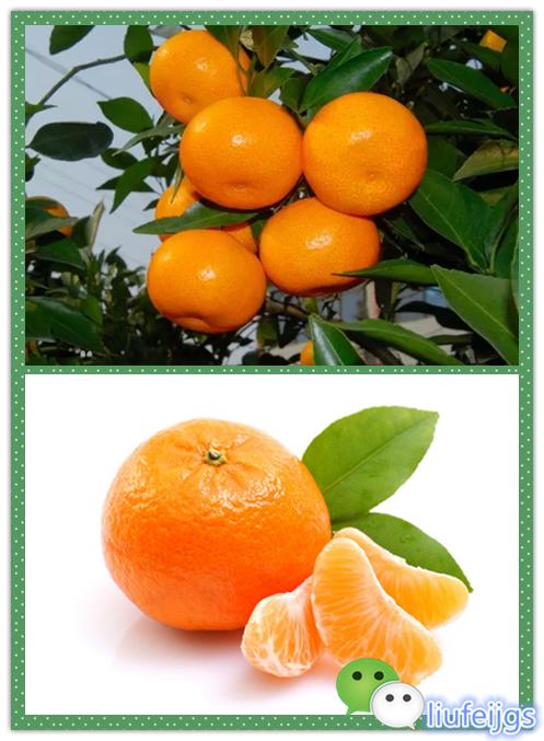 吃货吃遍新余,江西新余美食排名前十名