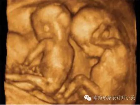 怀孕期间胎儿发育情况口诀,孕育知识视频大全