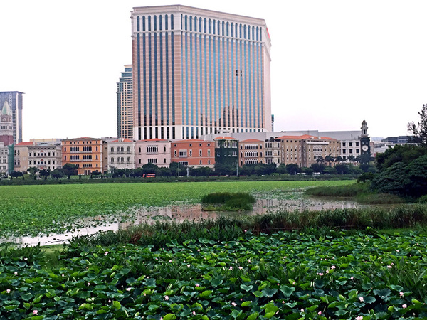 咀香园凤凰卷澳门,澳门咀香园美食攻略