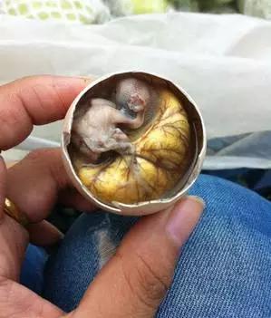 真正的福建美食,福建十大恶心料理