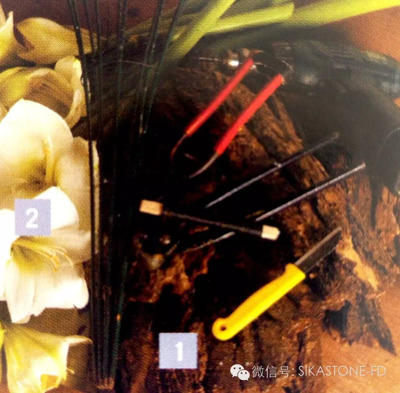 创意花艺教程简单易学,自然式花艺制作全过程