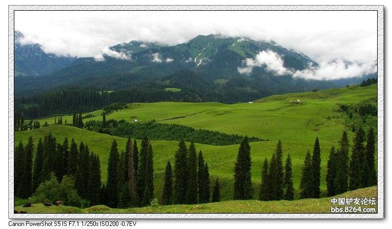 梦里花开——*疆新**，又一次的心动
