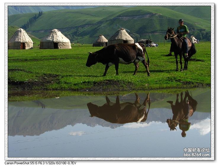 梦里花开——*疆新**，又一次的心动