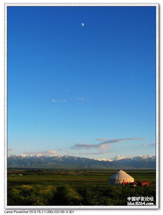 梦里花开——*疆新**，又一次的心动