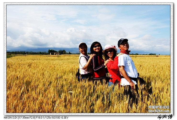 梦里花开——*疆新**，又一次的心动