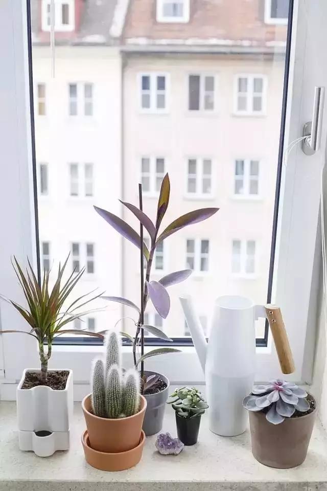 生活中的数字元素,无处不在的自然元素