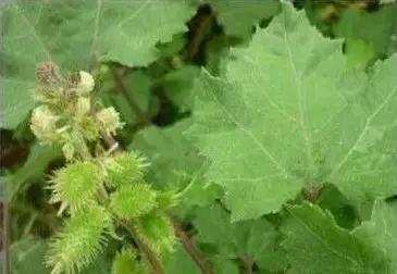 六一8090回忆童年的视频,六一回忆90后的童年