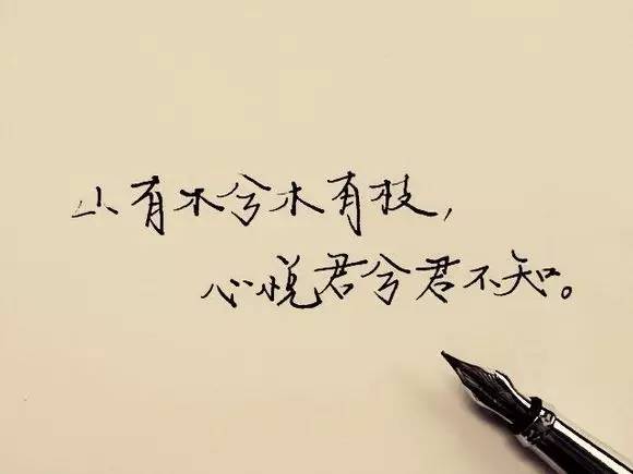 山有木兮木有枝什么意思,山有木兮心悦君兮君不知抖音版