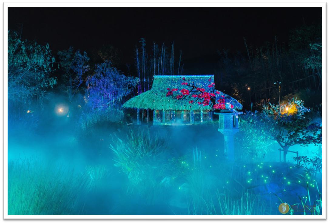 曝光一家好吃的饭店视频,曝光这家饭店菜品有问题