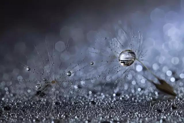 怀孕了发现外阴长疱疹,怀孕4个月疱疹复发