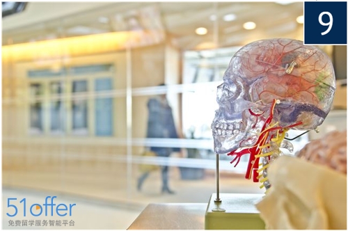 英国硕士商科最好就业的专业,英国商科好的专业