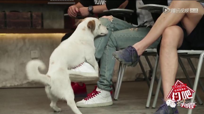 这档明星求着让你当爹的节目居然万事污