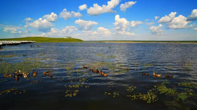 海拉尔城堡旅游攻略,海拉尔玩的地方攻略