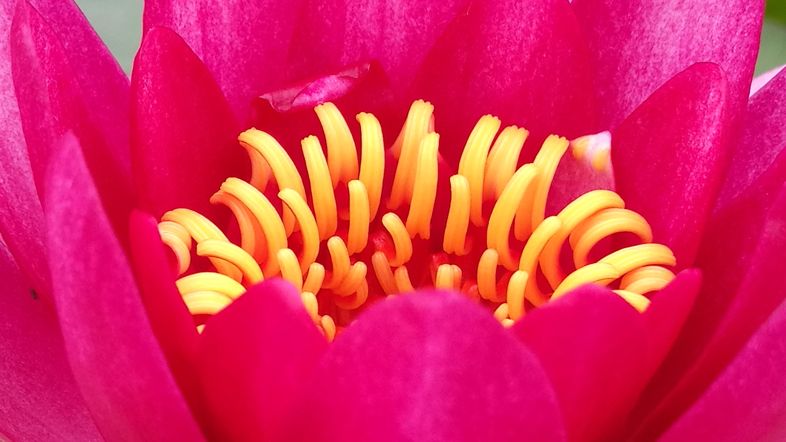 荣耀v8全面测评,荣耀v8前后对比