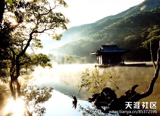 坏小子金基德电影高清完整版,金基德坏小子电影视频