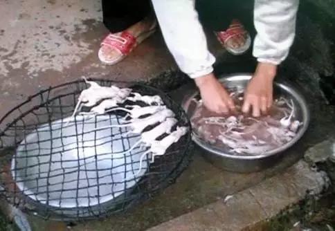 真正的福建美食,福建十大恶心料理