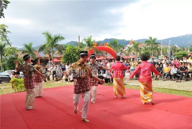 厦门同安千日红三角梅园花海,厦门翔安樱花油菜花
