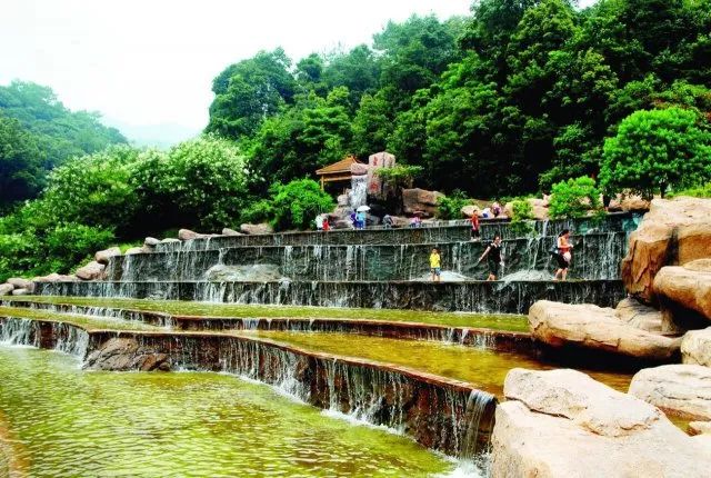 厦门同安千日红三角梅园花海,厦门翔安樱花油菜花