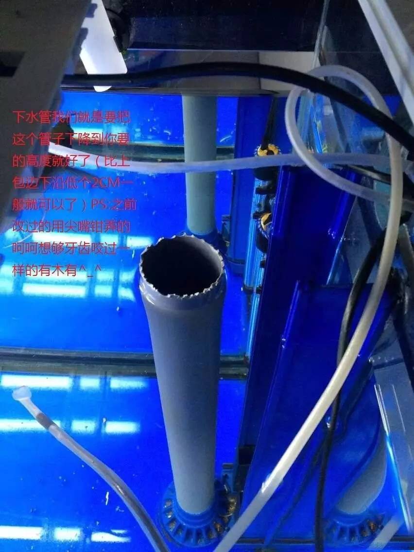 森森底滤鱼缸溢流区怎样清理,森森鱼缸出水口最佳位置与角度