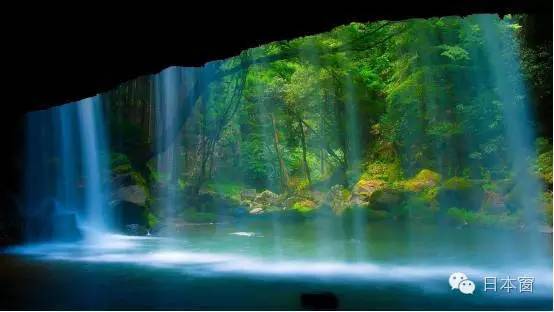 日本走马观花一日游,走马观花日本旅游