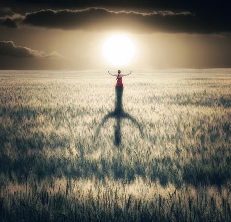 晚上睡觉梦到蛇灾是什么寓意,梦到超级大的蛇预示着什么