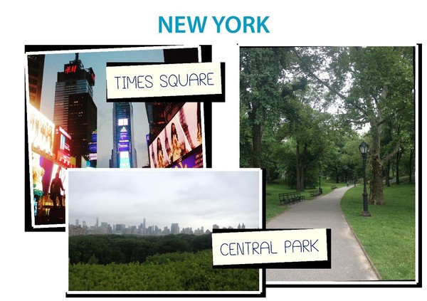 卓悦英语课程,卓悦英语速记