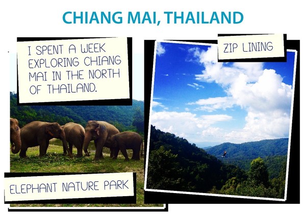 卓悦英语课程,卓悦英语速记