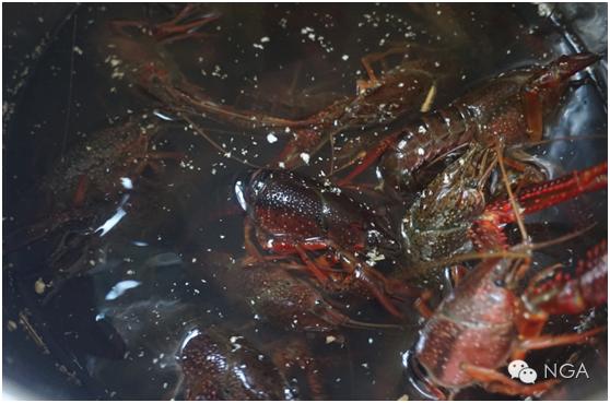 学做小龙虾最简单的方法,学做半成品小龙虾