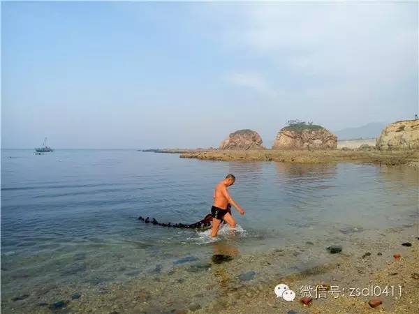 大连小众海边滨海路,大连最美海滨路在哪