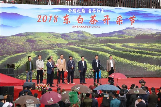 会稽之巅,东阳市婺州东白茶开采节