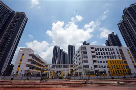 公告青秀区新添四所公办小学,今年九月招生(玉兰路小学、百花岭路小学、民主路小学佛子岭路校区、林里桥中段小学)