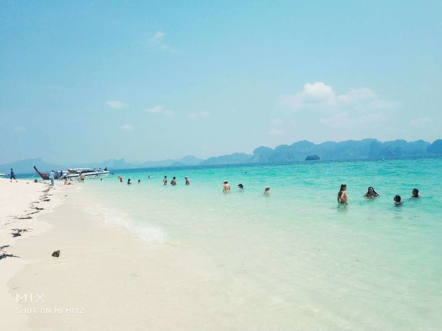 甯︾潃鐗涢瓟鐜嬬湅鏄熸槦,甯︾潃鐗涢瓟鐜嬪嚭鏉ョ湅涓婂笣