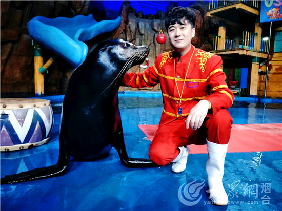 烟台：驯养师与海狮伙伴“贝克”的故事