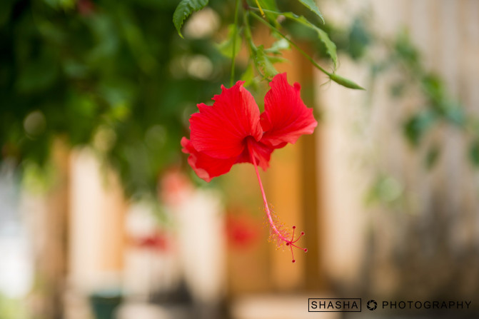 轻妆出行心仪广西,玩转神秘的桂西南