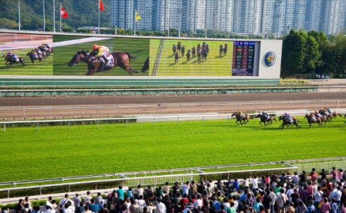 蓝月亮的主场,蓝月亮主唱