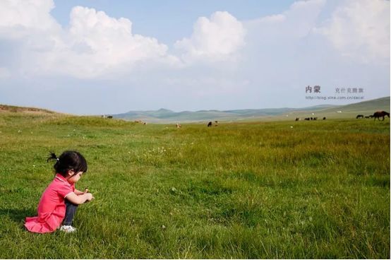 达里湖面积多大,自驾游闪电湖达里湖