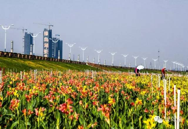 好消息佛山禅城,佛山吸引人的地方