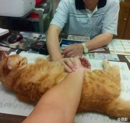 去看魔兽电影,看魔兽的顺序